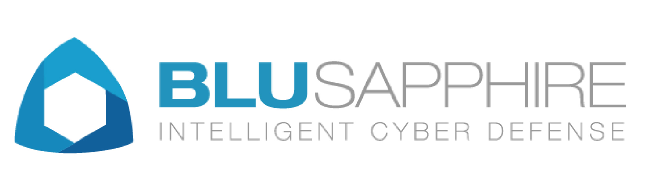 BluSapphire: Company ProfileCategory