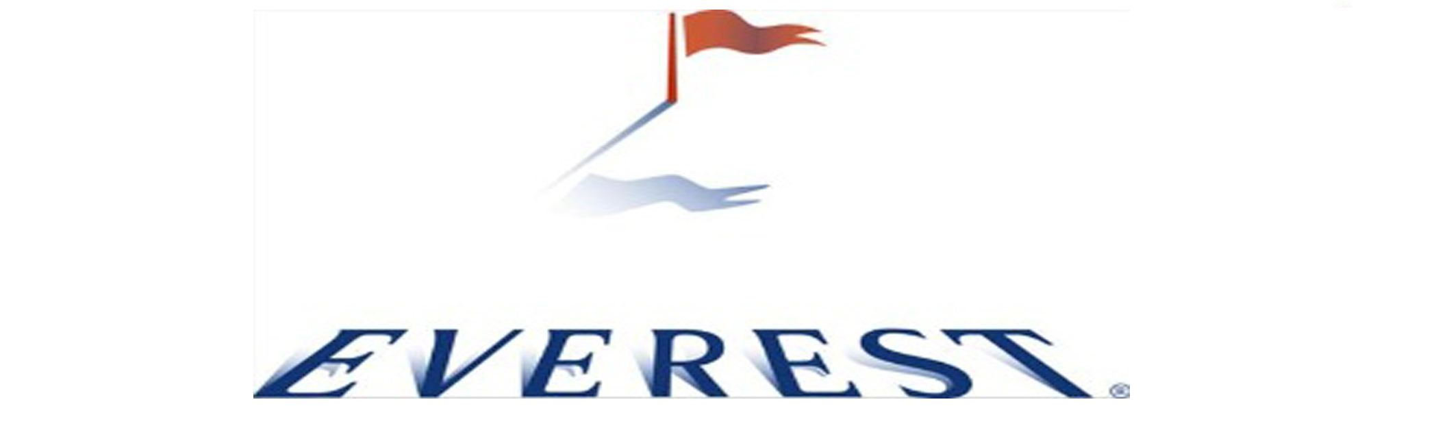 Everest: Company ProfileCategory