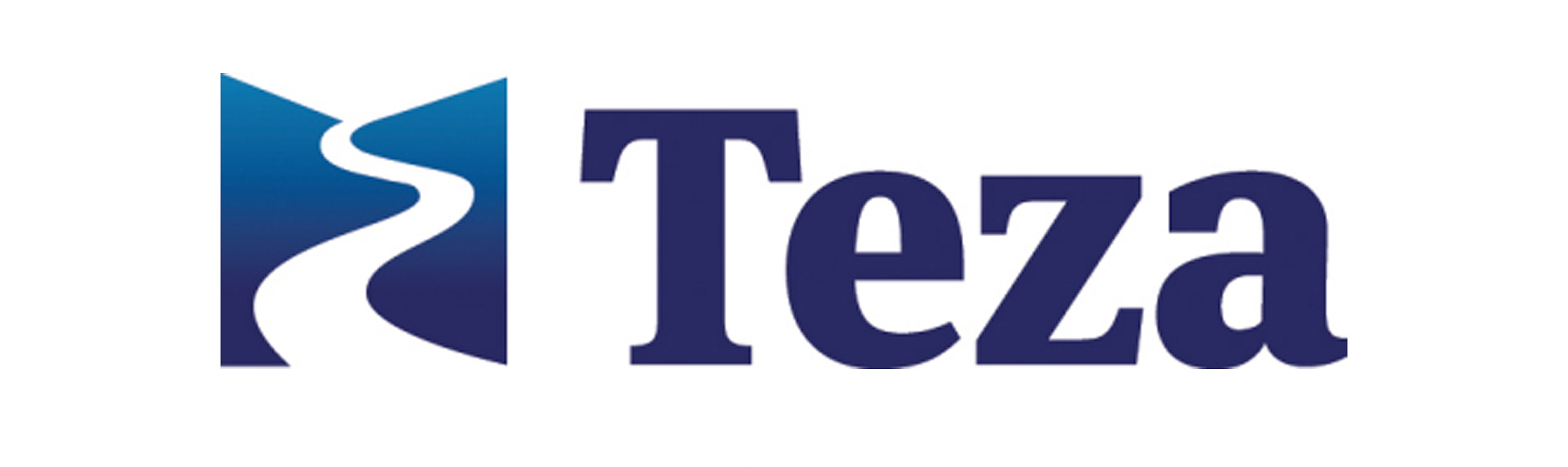 Teza Technologies: Company ProfileCategory